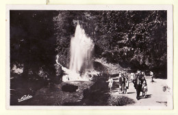 17195 / ⭐ Bassin SAINT-FERREOL Gerbe Dans Parc 1949 à Aimé CATHALA Creyssens Puygouzon / NARBO 4 St Haute-Garonne - Saint Ferreol