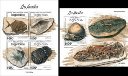 Togo 2023, Fossils, Shells, Fishes, 4val In BF +BF - Fossielen