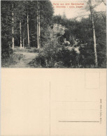 Ansichtskarte Olbernhau Partie Aus Dem Bärenbachtal 1913 - Olbernhau