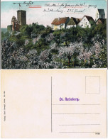 Ansichtskarte Bad Teinach-Zavelstein Stadt - Baumblüte 1913 - Bad Teinach