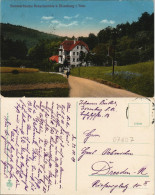Ansichtskarte Eisenberg (Thüringen) Sommerfrische Robertsmühle 1919 - Eisenberg
