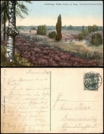 .Niedersachsen Lüneburger Heide Partie Am Wege Unterluss-Hermannsburg 1911 - Lüneburger Heide