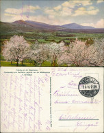 Ansichtskarte Bensheim  Melibokus Stimmungsbild Im Frühling 1916  Gel. Feldpost - Bensheim