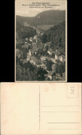 Bad Grund (Harz) Panorama-Ansicht Schönhoffsblick Mit Badehaus 1920 - Bad Grund