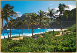 Etats Unis - Hawaï - Oahu - Makapuu Beach - Etat De Hawaï - Hawaï State - CPM - Voir Timbre - Voir Scans Recto-Verso - Oahu