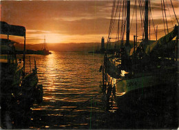 Coucher De Soleil - CPM - Voir Scans Recto-Verso - Contre La Lumière