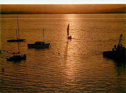 Coucher De Soleil - CPM - Voir Scans Recto-Verso - Contre La Lumière