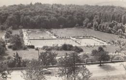 Thale - Freibad 1962 - Thale