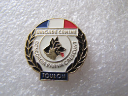 PIN'S    POLICE  BRIGADE CANINE  TOULON - Animaux