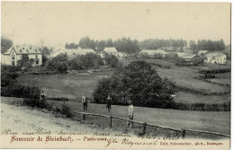 Souvenir De Steinbach Panorama Circulée En 1905 - Gouvy