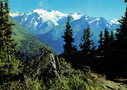 MARTIGNY : Vue Depuis L'Arpille Sur La Forclaz - Martigny