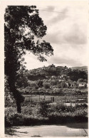 FRANCE - Cagnes Sur Mer - Vue Sur Le Haut De Cagnes - Carte Postale - Cagnes-sur-Mer