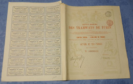 S.A. Des Tramways De Turin - Action De  250 Frs Au Porteur - Bruxelles 1904 - Ferrocarril & Tranvías