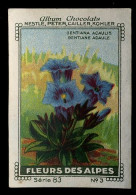 Nestlé - 83 - Fleur Des Alpes, Flora Of The Alps - 3 - Gentiana - Nestlé