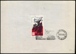 Poland - Cancellation : Rosznica Wyzwolenia Warszawy - Lettres & Documents