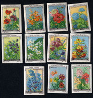Nestlé - 84 - Fleurs Vivaces, Perennial Flowers - Serie (no 9 Missing) - Nestlé