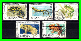 ESPAÑA.-  SELLOS AÑOS 1975.- FAUNA HISPANICA -. SERIE.- - Used Stamps