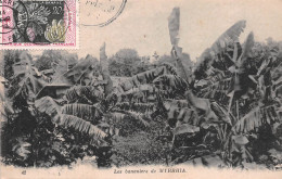 NIGER Bananiers De MYRRHIA à Zinder Oblitération Conakry Guinéa (Scans R/V) N° 42 \MO7008 - Níger