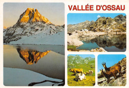 64 Le Lac D'AYOUS Pic Du Midi D'Ossau Gabas Carte Vierge Non Circulé éditions REX (Scans R/V) N° 13 \MO7064 - Laruns