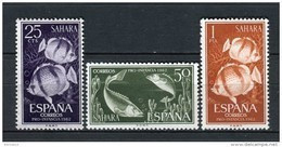 Sahara 1962. Edifil 209-11 ** MNH. - Spanische Sahara