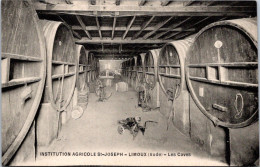 CPA - SELECTION -   LIMOUX  -  Institution Agricole Saint Joseph - Les Caves. - Limoux
