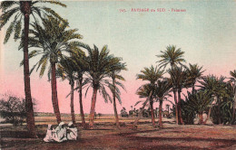 MAROC - Paysage Du Sud - Palmiers - Colorisé - Animé - Tenues Traditionnelles - Carte Postale Ancienne - Sonstige & Ohne Zuordnung