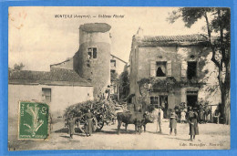 12 - Aveyron - Monteils  Chateau Feodal (N15376) - Autres & Non Classés