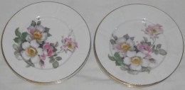 6 Cake Plates / Dessert Plates With Floral Motifs (wild Roses?) - Andere & Zonder Classificatie