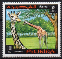 FUJEIRA - 1v - MNH - Giraffes Giraffe Girafes Giraffen Girafe Giraffe Jirafa Jirafas - Mammals - Fauna Animals - Jirafas