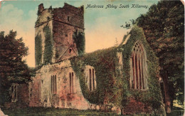 IRLANDE - Muckross Abbey South Killarney - Colorisé - Carte Postale Ancienne - Kerry