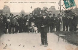 France - Paris - Jardin Des Tuileries - Le Charmeur D'oiseaux - Animé - Vieux Métiers - Carte Postale Ancienne - Parken, Tuinen