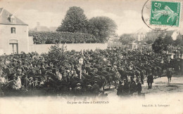 France - Carentan - Un Jour De Fouie à Carentan - Chevaux - Animé - Carte Postale Ancienne - Carentan