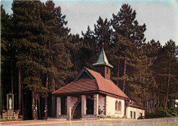 54 - Vandoeuvre Les Nancy - Chapelle Notre Dame Vierge Des Pauvres - CPM - Voir Scans Recto-Verso - Vandoeuvre Les Nancy