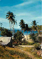 Antilles - Rivage Caraibe - CPM - Voir Scans Recto-Verso - Autres & Non Classés