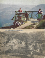 1912/21 - RAXGEBIET , 2 Stk.  Gute Zustand,  2 Scan - Raxgebiet