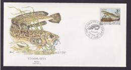 Yugoslavia Jugoslawien Europa Fauna Fische Aalquappe Schöner Künstler Brief - Storia Postale