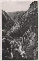 13566 - Bodetal Bei Thale - 1953 - Thale