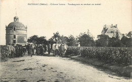33 , PAUILLAC , Chateau Latour , Vendangeurs Allant Au Travail , *  480 66 - Pauillac