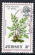 Jersey 1972 Single Stamp From Wild Flowers Of Jersey In Fine Used - Jersey