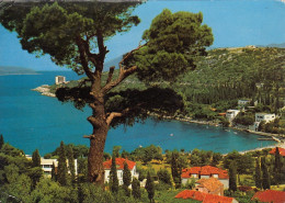 POSTCARD 3309,Croatia,Dubrovnik - Croazia