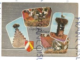 Carte Mosaïque. Cigognes D'Alsace. Blason De L'artiste Héraldique R. Louis - Alsace