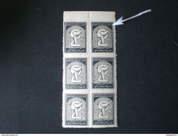 أفغانستان AFGHANISTAN 1934 Newspaper Stamp MNH ERROR !! S Printing - Afghanistan