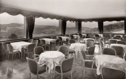 Delcampe - Waldmichelbach I.Odenwald - Cafe Kreidacher Hohe , Besitzer Karl Metz - Odenwald