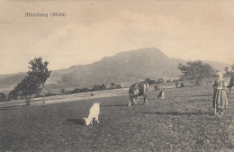 Milseburg Rhon - Kuh Ziege , Cow Goat Verlag Gustav Mandt Lauterbach - Hilders