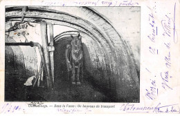 METIER - MINE - SAN39324 - Charbonnage - Dans La Fosse : Un Bouveau De Transport - En L'état - Bergbau
