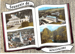76 . N°sac10604 . Montivilliers . Château De Raimbourg . L'Eglise N°115 .en Avion Au Dessus De . Cpsm 10X15 Cm . SOFER - Montivilliers