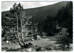 Environs De Formiguères - 66 - Le Lac De Balcère Et Route Forestière - Prades