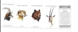 CJ21 - SERIE COMPLETE 50 CARTES CIGARETTES PLAYERS - WILD ANIMALS HEADS - TETES D'ANIMAUX SAUVAGES - Player's