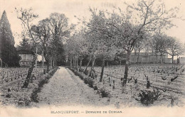 BLANQUEFORT - Domaine De Curgan - Très Bon état - Blanquefort