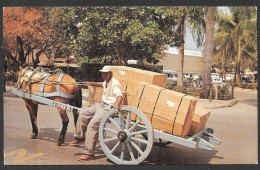 Nassau  Bahamas - Native Two Wheel Carts Are Used For Delivery Of Merchandise - No: P20591 - By American News - Bahamas